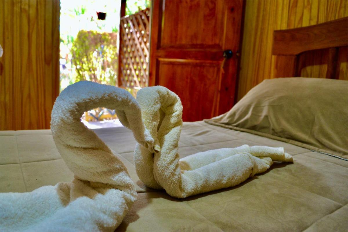 Hostal Michel Vicuna Luaran gambar