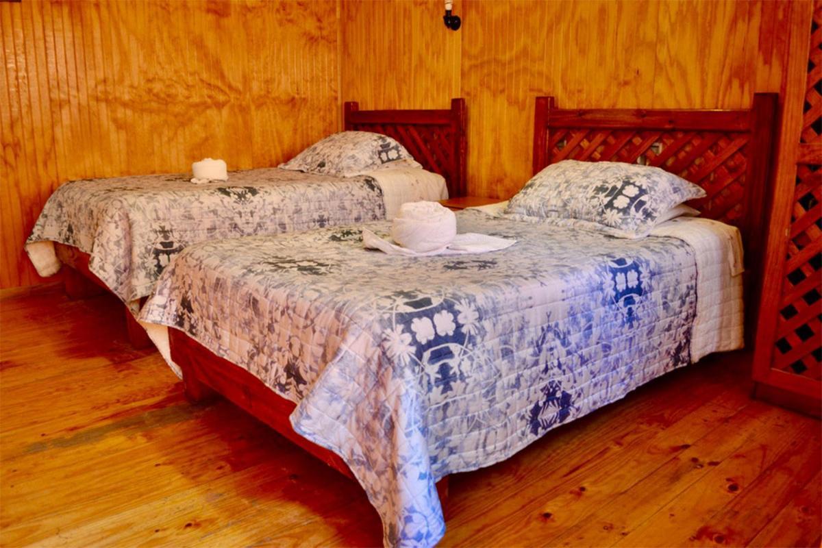 Hostal Michel Vicuna Luaran gambar