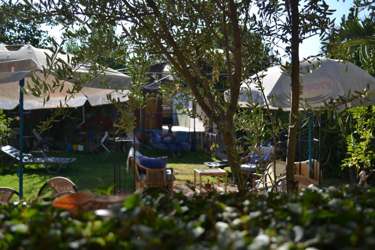 Hostal Michel Vicuna Luaran gambar