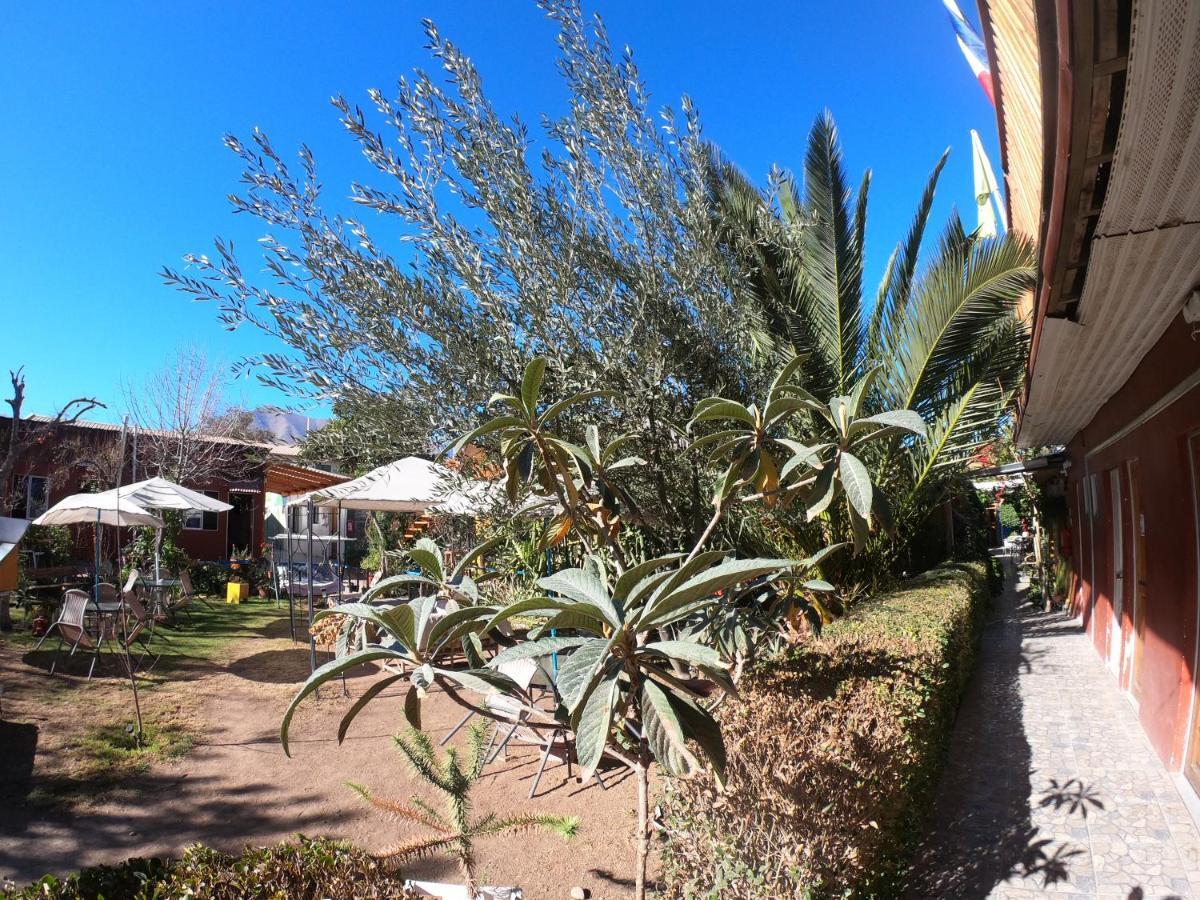 Hostal Michel Vicuna Luaran gambar